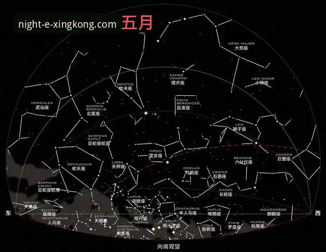 星空中国官网入口深度评测：从注册到登录的全链路技术体验报告